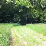 Guest house Oostvoornsch 4*