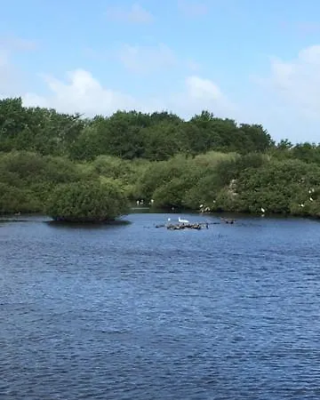 Oostvoornsch Oostvoorne