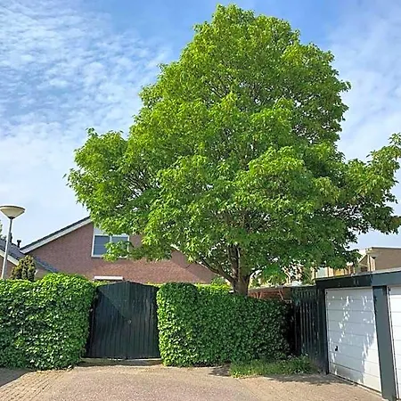Oostvoornsch 게스트하우스