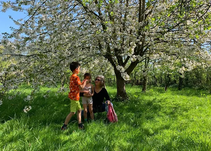 Oostvoornsch Pensionat 4*