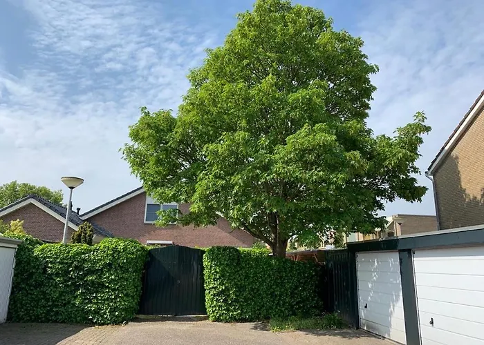 Pensionat Oostvoornsch 4*