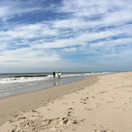 Oostvoornsch 东福尔讷