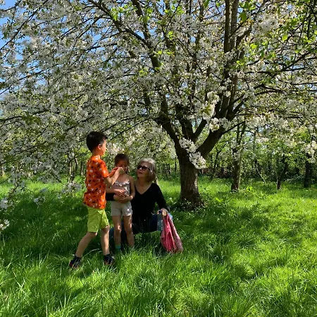 Oostvoornsch 招待所 4*