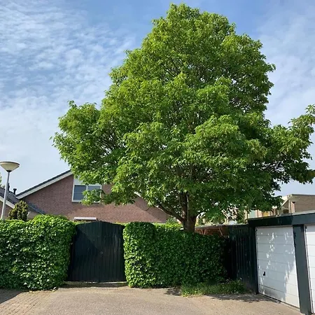 招待所 Oostvoornsch 4*