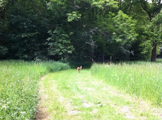 Casa de hóspedes Oostvoornsch 4*